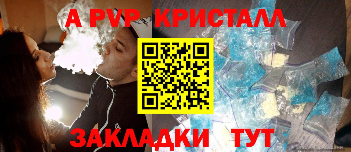 Альфа ПВП СК КРИС Тихорецк
