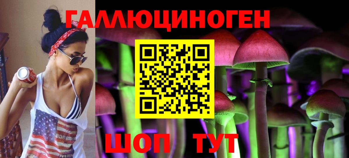 Псилоцибиновые грибы Cubensis Тихорецк